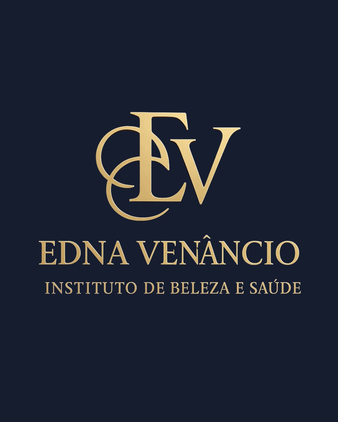 Logo Edna Venâncio